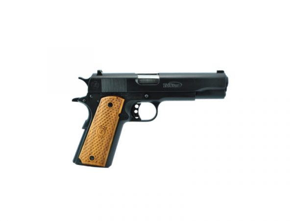 GOVERNMENT 1911 45ACP BLUE 8+1, 85601