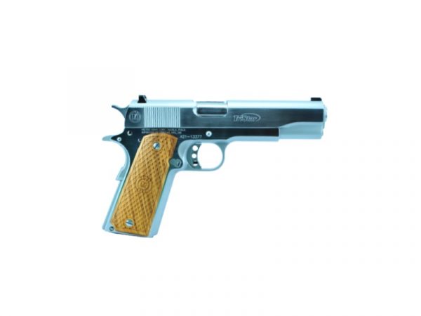 GOVERNMENT 1911 9MM CHROME 8+1, 85605