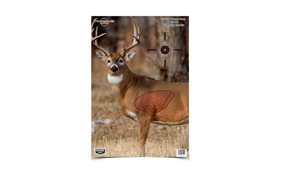 B/C PREGAME DEER TGT 3-16.5X24, SKU BC35401