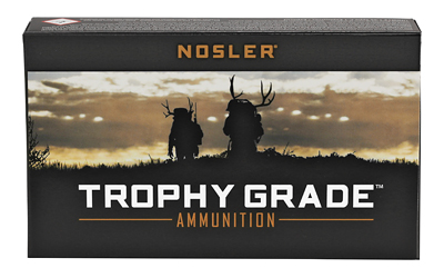 NOSLER TG 243WIN 100GR PT 20/200, SKU NOS61046