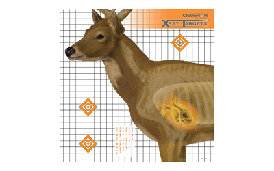 CHAMPION DEER X-RAY TARGET 6/PK, SKU OUT45902