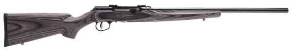 A17 TARGET 17HMR BL/LAM 22", 47006