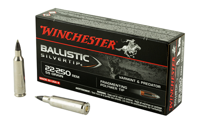 WIN BLSTC TIP 22-250 55GR 20/200, SKU WNSBST22250B