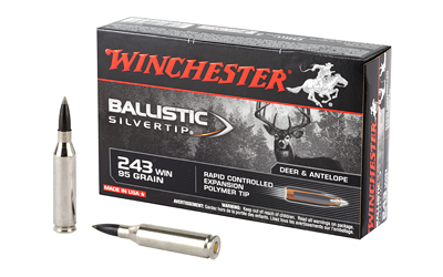 WIN BLSTC TIP 243WIN 95GR 20/200, SKU WNSBST243A