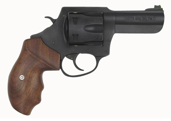 THE PROFESSIONAL 357MAG 4.2", 63546