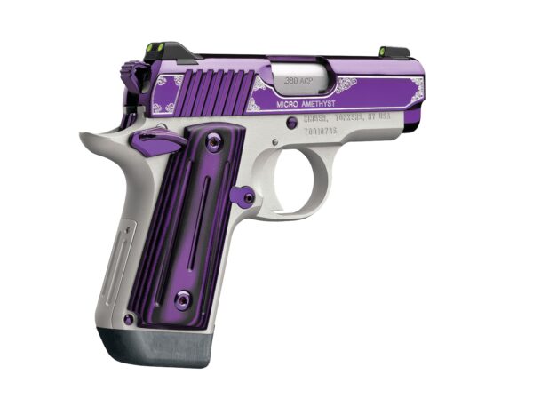 MICRO AMETHYST 380ACP 2.75" NS, 3300160