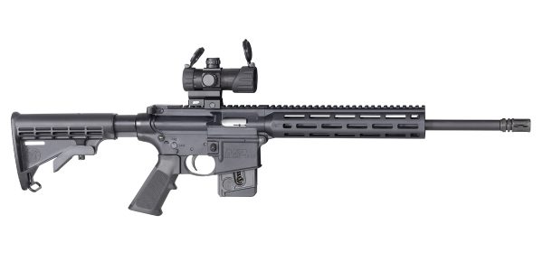 M&P15-22 SPORT OR 22LR 10+1, 12723